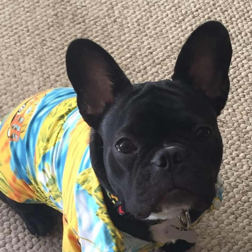 Meet your Posher, Heather